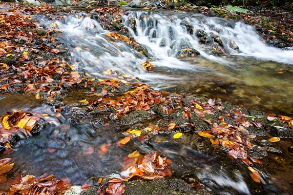 Горный Ручей Осенью Ручей Лесу — стоковое фото