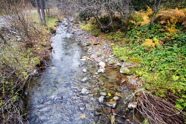 stock image A mountain stream flows through the forest landscape.