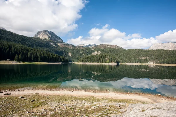 Piękny Widok Black Lake Lokalizacja Park Narodowy Durmitor Zabljak Czarnogóra — Zdjęcie stockowe