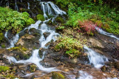 Dağ ormanındaki güzel dere.