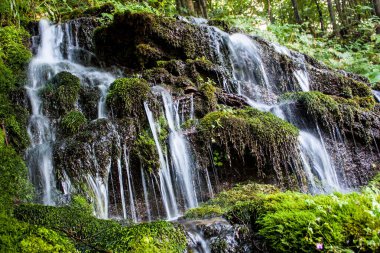 Dağ ormanındaki güzel dere.