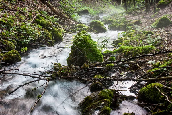 Beautiful Creek Mountain Forest — Stock Photo, Image