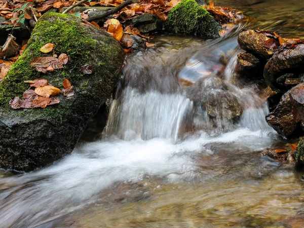 山林中美丽的小溪 秋天的森林小河 — 图库照片