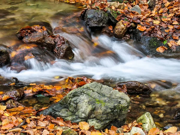 Piękny Potok Górskim Lesie Potok Leśny Jesienią — Zdjęcie stockowe