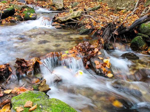 Piękny Potok Górskim Lesie Potok Leśny Jesienią — Zdjęcie stockowe