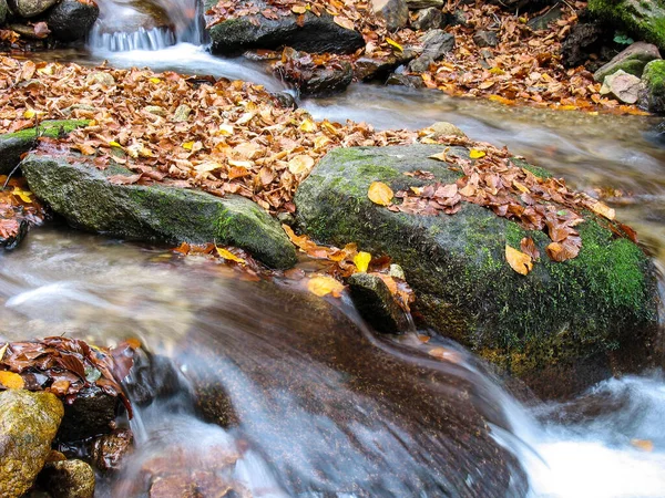 Krásný Potok Horském Lese Lesní Potok Podzim — Stock fotografie