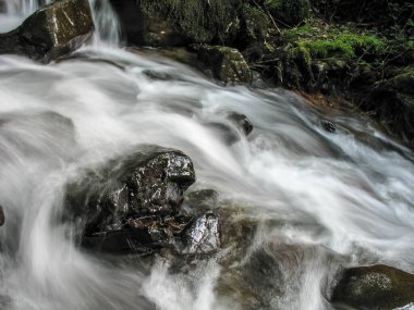 Ormanda çağlayan bir dere..