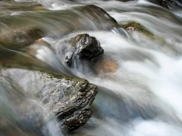 Ruisseau Dans Forêt Avec Des Cascades — Photo