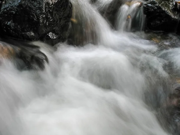 森林里一条有瀑布的小溪 — 图库照片