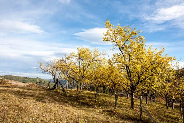 カラフルな山の風景 山の秋 — ストック写真