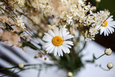 Bahçede çiçekler. Baharda çiçekler.