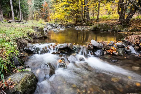 风景秀丽 金碧辉煌的秋天森林中的河流 迷人的五彩缤纷的风景 红色的落叶落在湍急的溪流边的大石头上 秋天的山溪 森林里的溪流 — 图库照片