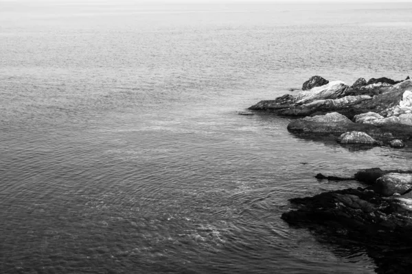 Côte Mer Avec Rochers Noir Blanc — Photo