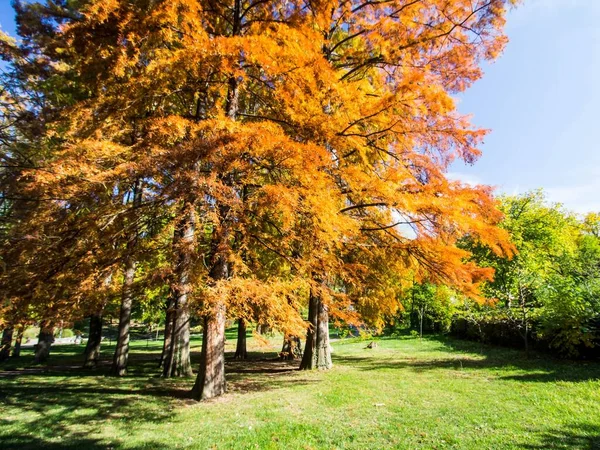 Sonbaharda renkli yapraklar, Ekim.