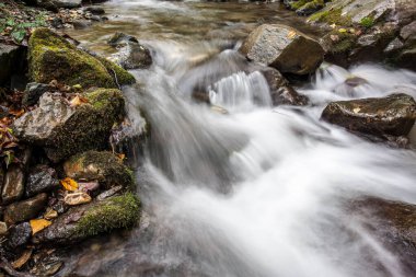 Sonbaharda Dağ Deresi, Ekim.