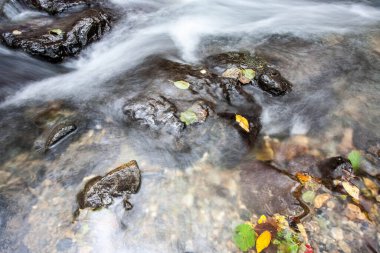 Sonbaharda Dağ Deresi, Ekim.