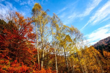Renkli dağ manzarası. Dağlarda sonbahar. HDR Resmi (Yüksek Dinamik Aralık).