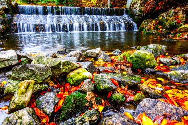Dağ ormanındaki güzel dere. Sonbaharda orman deresi. HDR Resmi (Yüksek Dinamik Aralık).