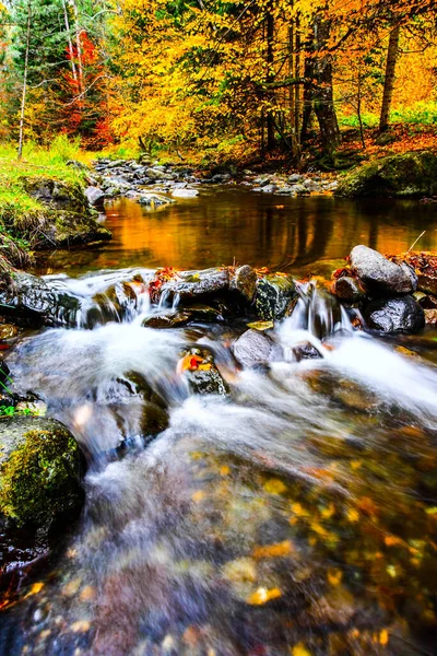 Beautiful stream in mountain forest. Forest stream in autumn. HDR Image (High Dynamic Range).