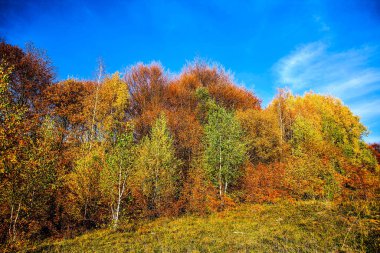 Renkli dağ manzarası. Dağlarda sonbahar. HDR Resmi (Yüksek Dinamik Aralık).