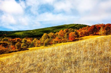 Renkli dağ manzarası. Dağlarda sonbahar. HDR Resmi (Yüksek Dinamik Aralık).