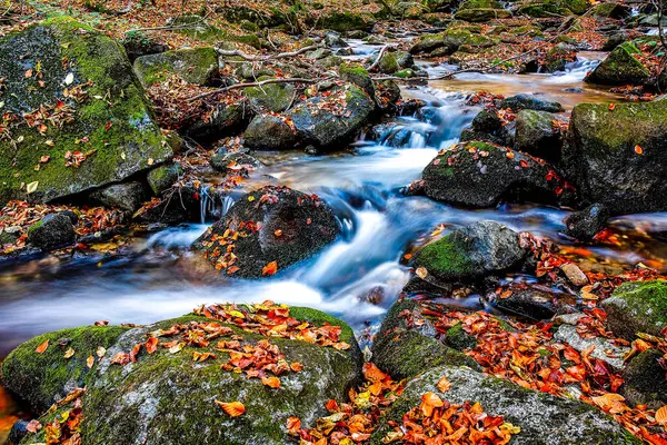 Beautiful stream in mountain forest. Forest stream in autumn. HDR Image (High Dynamic Range).