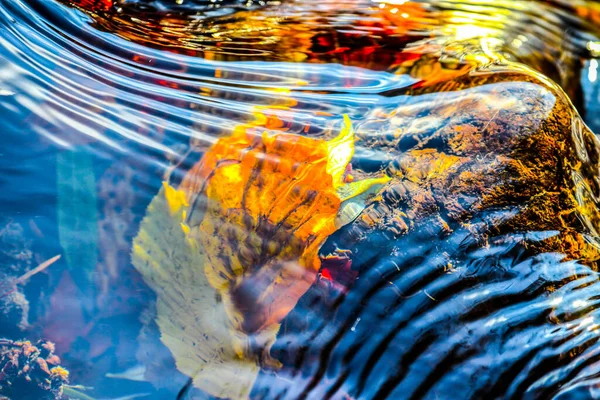 水に残っている Hdr イメージ ダイナミック レンジ — ストック写真