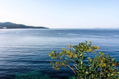 Kumsaldaki deniz taşları. Deniz manzarası. HDR Resmi (Yüksek Dinamik Aralık).