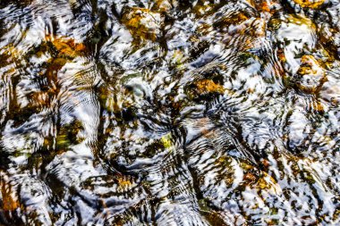 Nehir suyunda güzel yansımalar. Soyutlamalar. HDR Resmi (Yüksek Dinamik Aralık).
