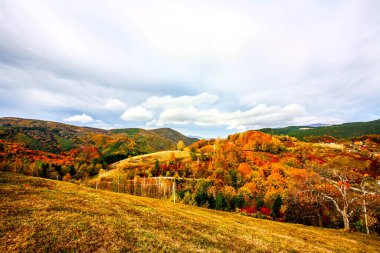 Renkli dağ manzarası. Dağlarda sonbahar. HDR Resmi (Yüksek Dinamik Aralık).