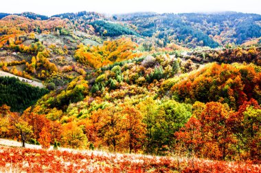 Renkli dağ manzarası. Dağlarda sonbahar. HDR Resmi (Yüksek Dinamik Aralık).