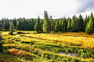 Dağ manzarası. Sonbaharda güzel dağ manzarası. HDR Resmi (Yüksek Dinamik Aralık).