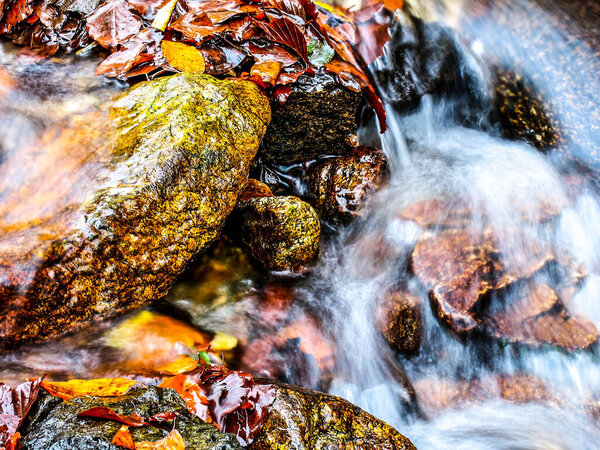 Mountain stream in the forest. HDR Image (High Dynamic Range).