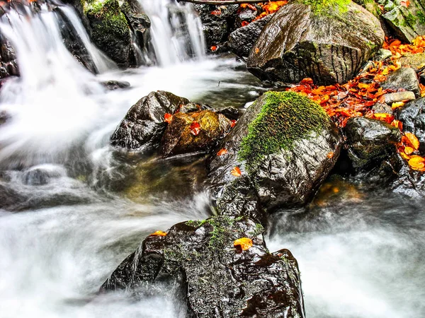 Гірський Потік Лісі Зображення Hdr Високий Динамічний Діапазон Ліцензійні Стокові Фото