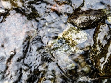 Sudaki taş harika soyutlamalar yapıyor.