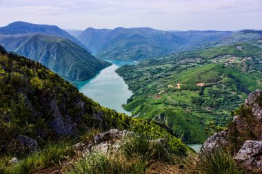 Dağ Tara, Sırbistan, güzel manzara