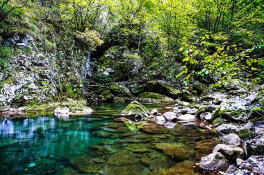 Şaşırtıcı derecede güzel bir kanyon. Dağ nehri.