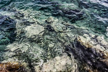 Kumsaldaki deniz taşları. Deniz manzarası. 