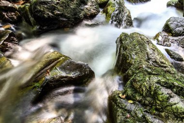 Ormandaki bir dağ deresinin güzel manzarası.