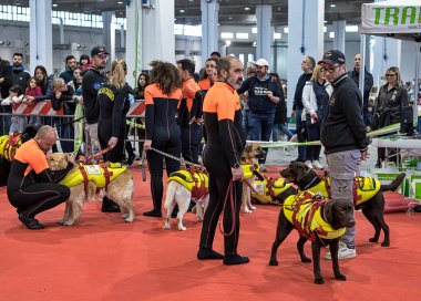 Bari, İtalya - 24 Nisan 2023: SICS, İtalyan Kurtarma Köpekleri Okulu, Bari 'de düzenlenen 