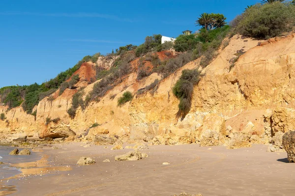 Plaża Maria Luisa Formacją Skalną Albufeira Algarve Portugalia — Zdjęcie stockowe