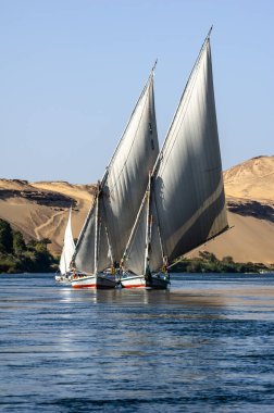 Abu Simbel, Aswan, Mısır - 18 Nisan 2008: Feluccas - geleneksel Mısır teknesi - Nil Nehri, Mısır.