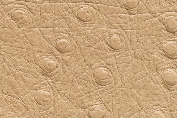 Fondo Cuero Artificial Sintético Beige Con Textura Pulcra Espacio Copia —  Fotos de Stock