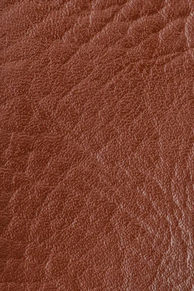 Fondo Textura Cuero Genuino Texturas Marrones Para Decoración Blanco Piel — Foto de Stock