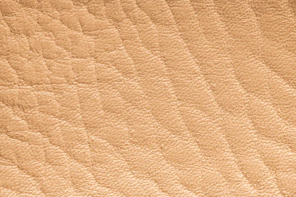 Beige artificial or synthetic leather background with neat texture and copy space, colorful fabric sample with leather-like finish aimed for upholstery, fashion, sewing or footwear projects
