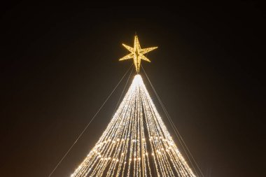 Parktaki Noel ağacı, ışıklar ve yıldızlarla süslenmiş.