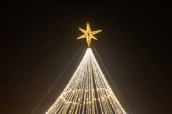Parktaki Noel Ağacı Işıklar Yıldızlarla Süslenmiş — Stok fotoğraf