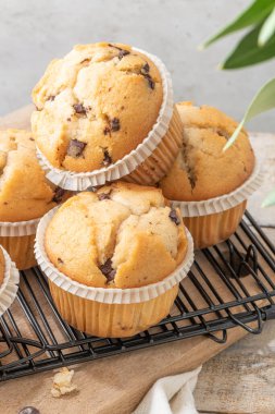 Chocolate chip muffins on a baking rack and glasses of milk on a white kitchen countertop.  Morning breakfast table
