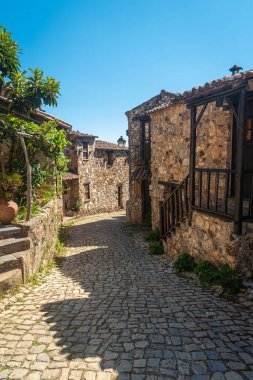 Casal de Sao Simao, Figueiro dos Vinhos PORTUGAL köyünde ünlü şist evleri olan tipik bir kaldırım.