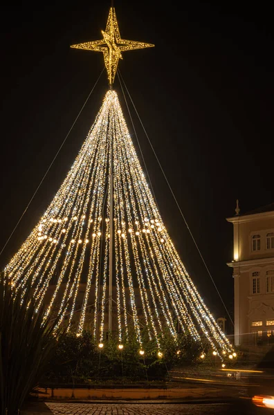 Parktaki Noel Ağacı Işıklar Yıldızlarla Süslenmiş — Stok fotoğraf